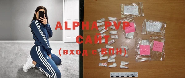 прущие грибы Абаза