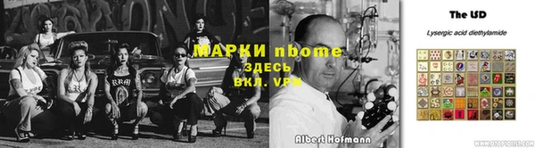 прущие грибы Абаза
