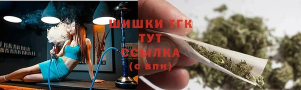 прущие грибы Абаза