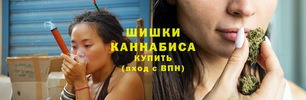 прущие грибы Абаза