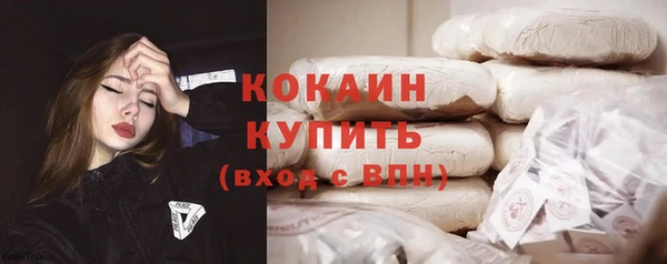 прущие грибы Абаза