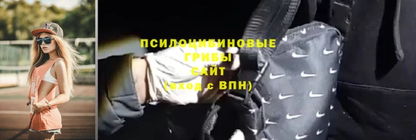 прущие грибы Абаза