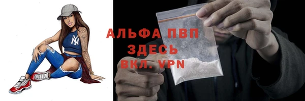 прущие грибы Абаза