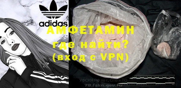 прущие грибы Абаза