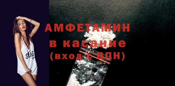 прущие грибы Абаза