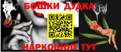 прущие грибы Шахты