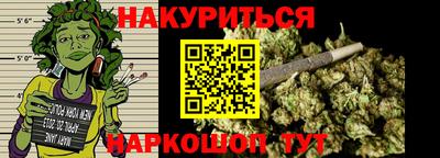 прущие грибы Шахты