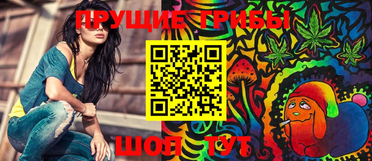 Псилоцибиновые грибы Psilocybe Лиски